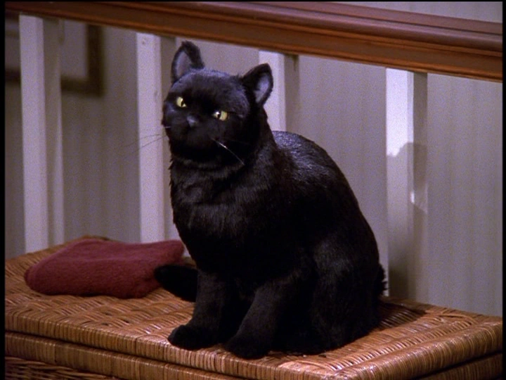 An image of Salem the black cat from the tv show Sabrina the Teenage Witch. He is sitting on a brown basket. 